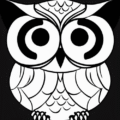 Logo A smart Owl